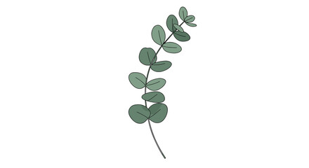 Poster - Minimalist eucalyptus branch art with green leaves on white background