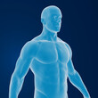© Ilie - 3D rendering of a muscular male figure
