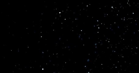 Wall Mural - Natural Organic Dust Particles Floating On Black Background. Dynamic Dust Particles Randomly Float In Space. Shimmering Glittering Dust Particles With Bokeh. Slow motion on Black Background.