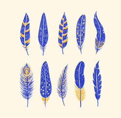 Poster - Bird feathers drawn with color crayon pencils. Pastel sketch of blue peacock, chicken, bird plumes. Set of boho feathers, quills with pattern and crayon or chalk texture, vector illustration