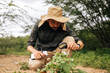 © kleberpicui - Concentrated male botanist examining plant with magnifying glass and taking notes outdoors