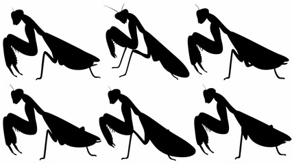 Silhouette pattern featuring six praying mantises against a white background design art vector