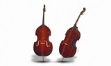 violin on white background