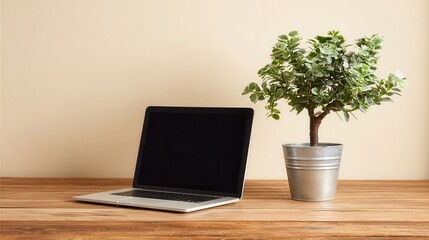 Poster - Laptop and small potted plant on a wooden desk.