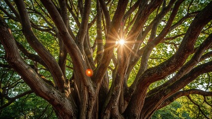 Poster - Brightly shining banyan tree trunks set on a vibrant green background