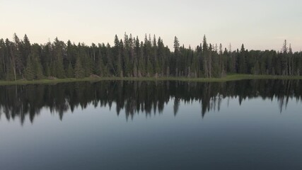 Wall Mural - Aerial drone moving forward over a calm lake towards an evergreen forest then rising above the trees
