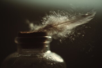 Poster - Feather emerging from a glass bottle creating a mystical atmosphere at twilight