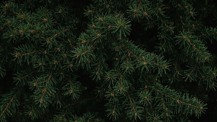 Poster - Lively conifer forest charm. Inviting winter vacation concept. Original design components for invitations, wedding announcements, greeting cards, Valentine's and festive decorations.