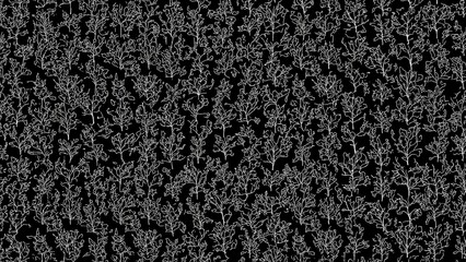Poster - Delicate leaf structure visible on a dark surface