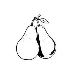 Fototapete - Pear Pair: A simple line art illustration of two pears, showcasing their smooth curves and connected stems against a white backdrop.