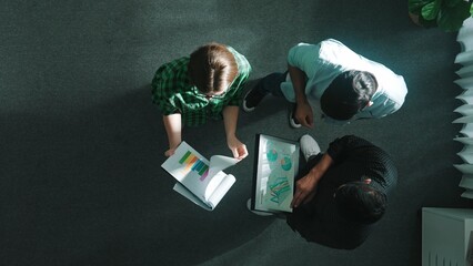 Poster - Top down view of smart businesswoman present and explain strategy to investor while standing at meeting room. Leader looking at stock market chart and data analysis while making decision. Convocation.