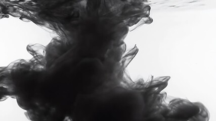 Poster - Abstract Black Ink Swirling in Water Against White Background
