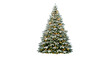© nuralam_gfx - Decorated christmas tree with lights isolated on transparent background