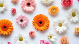 A vibrant overhead flat lay of assorted colorful spring flowers including gerbera daisies and ranunculus arranged on a white background