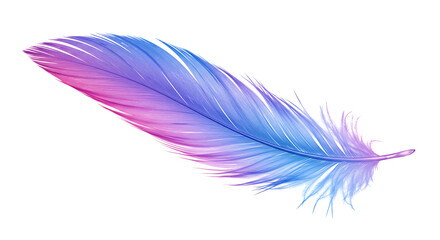 Poster - A single feather with a gradient of purple and blue hues isolated on a plain white background created with generated ai