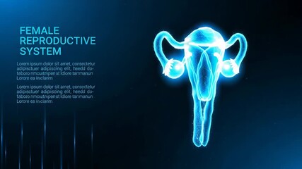 Poster - A glowing blue digital illustration of the female reproductive system