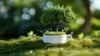 © savittree - Whimsical scene of tree in mug with birds and grass around, peaceful natural setting