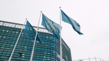 Wall Mural - European Flags waving in the EU quarter in front of the European Parliament in France, Strasbourg - Slow motion