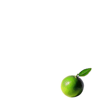Isolated lime, vibrant green, single fruit, leaves, dark background