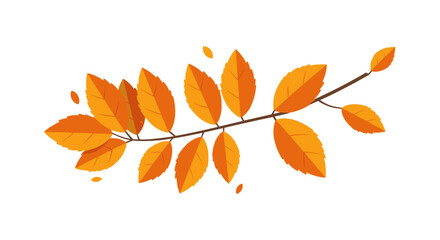 Poster - Autumn branch with vibrant orange leaves on white background