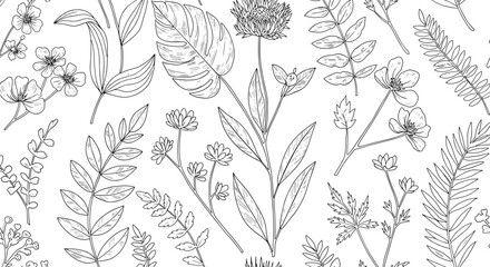 Poster - Elegant botanical sketches: black and white floral patterns for modern