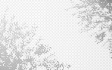 Wall Mural - abstract shadow overlay from tree branch on a transparent background.