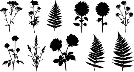 flowers, plants set silhouette isolated vector
