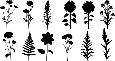 flowers, plants set silhouette isolated vector
