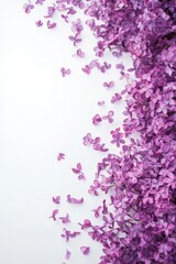 Leinwandbilder - Delicate Lilac Floral Border with Scattered Petals, Soft Violet Hues and Elegant Watercolor Design
