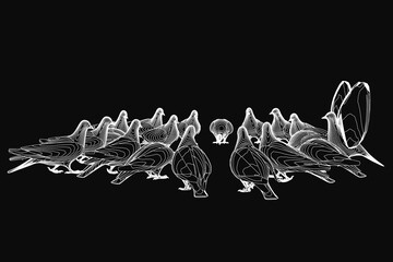 Poster - A flock of pigeons in clean contour line art stands out against a stark black background. The minimalist design highlights the birds' graceful silhouettes with sharp contrast. Simple yet striking.