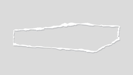 Poster - Torn paper edge on a gray background, element vector