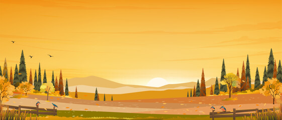 Wall Mural - sunset sky background,autumn landscape with forest tree on white background,cartoon scene sunrire sk