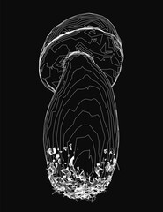 Poster - Intricate black and white contour drawing of a mushroom with detailed stem and leaves. The stark black background enhances the contrast, making the white mushroom stand out.