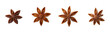 © Bipul Kumar - Star anise spices, arranged in a row. Cooking ingredient, flavoring, culinary, anise, stars, spice, flavor, seasoning