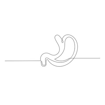 Stomach  icon   continuous one line drawing of outline vector illustration