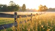 © cvetikmart - Low mist blankets a serene pasture at sunrise with golden rays filtering through, softening the landscape and highlighting tall grass
