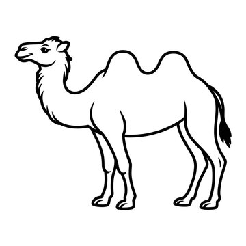A black and white camel illustration vector style coloring page