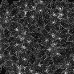 Poster - Intricately detailed black and white flowers with delicate petals and stems are drawn in clean contour lines, creating an elegant floral design. The bold contrast against the dark background.