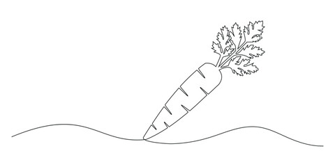 Carrot continuous one line drawing of vector illustration. Growing carrot plant minimalist black linear sketch isolated on white background.  Hand drawn Editable stroke