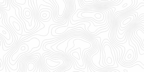 Poster - Lines Topographic contour lines grid map seamless pattern. Geographic mountain relief. Abstract lines background. Contour map Topo contour map design.	
