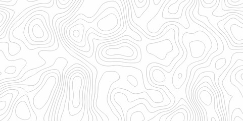 Poster - Abstract Lines Topographic contour lines grid map seamless pattern. Geographic mountain relief. discovery grid curve lines background. Contour map Topo contour map design.	
