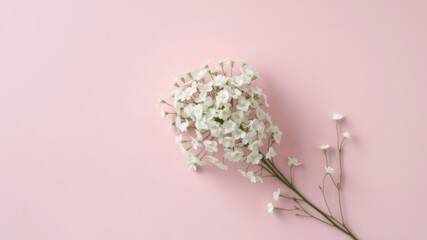 Poster - Delicate white blossoms cascading against a soft pink background create a serene and minimalist aesthetic with gentle floral beauty