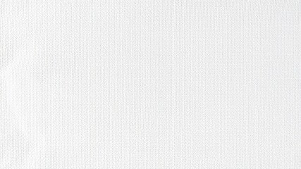 Poster - Subtle white texture with a delicate interwoven pattern creates an impression of smooth, blank canvas for design elements