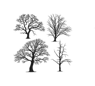.Winter trees silhouettes collection. Set of isolated vector design elements.. Hand drawn illustration in sketch style. Nature template. Clipart.
