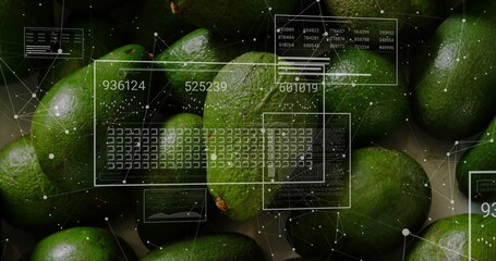 Poster - Displaying green limes filling macro frame, with numeric UI panels, grid overlays and node network