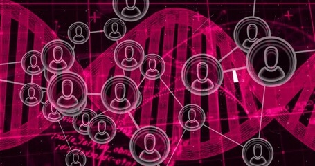 Poster - Rotating DNA helix triggers 3D network nodes emerging and connecting for visualizing user links