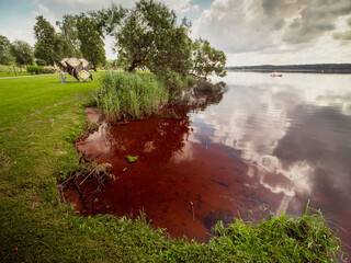 Wall Mural - nature scene with lake or river and green trees and fine cut grass and cloudy sky and park entertain