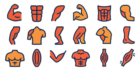 Poster - Collection of body parts and muscles, including the chest, arms, and legs. Concept of strength and fitness