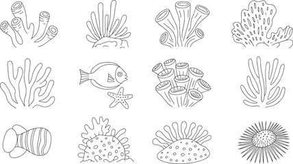 Fototapete - Underwater World Coral Reefs and Sea Life Outlines Vector Illustration on Transparent Backdrop