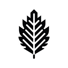 Poster - Minimalist oak leaf logo graphic nature